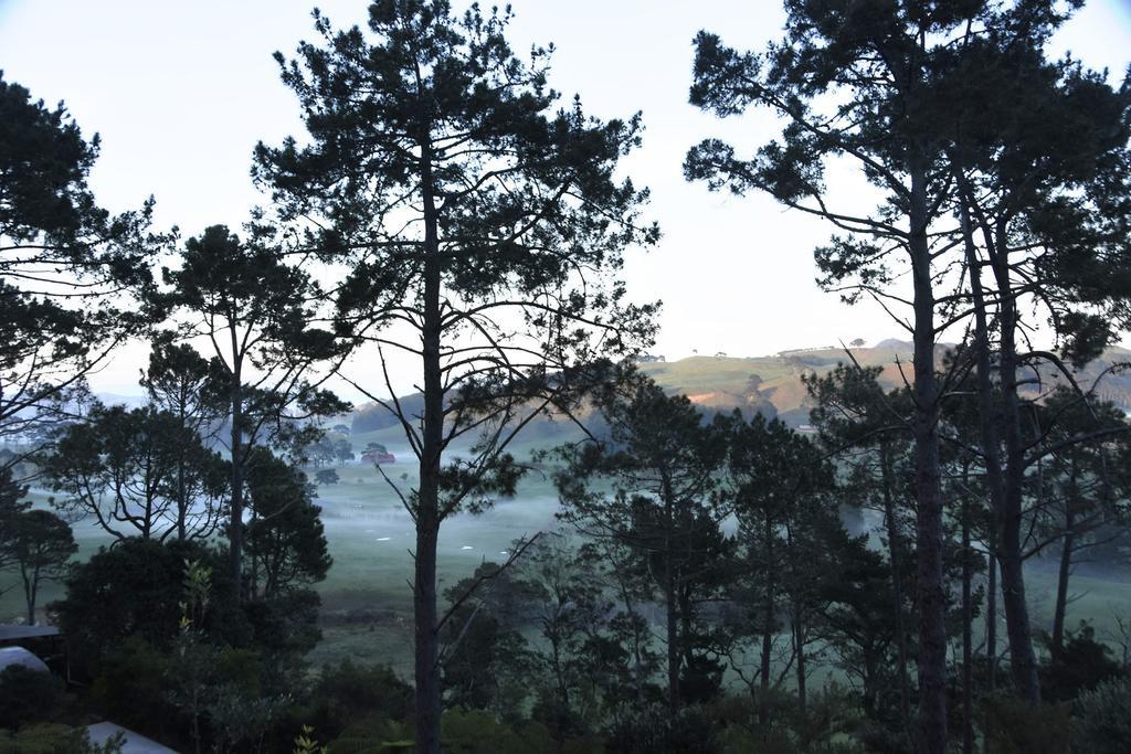 Ponga Eco-Lodge Hahei Eksteriør bilde