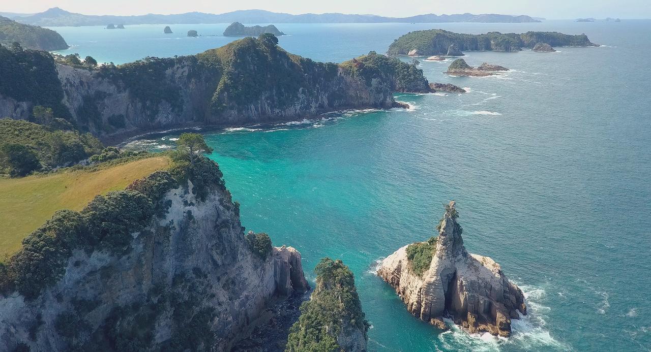 Ponga Eco-Lodge Hahei Eksteriør bilde